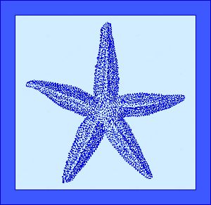 engraved starfish blue